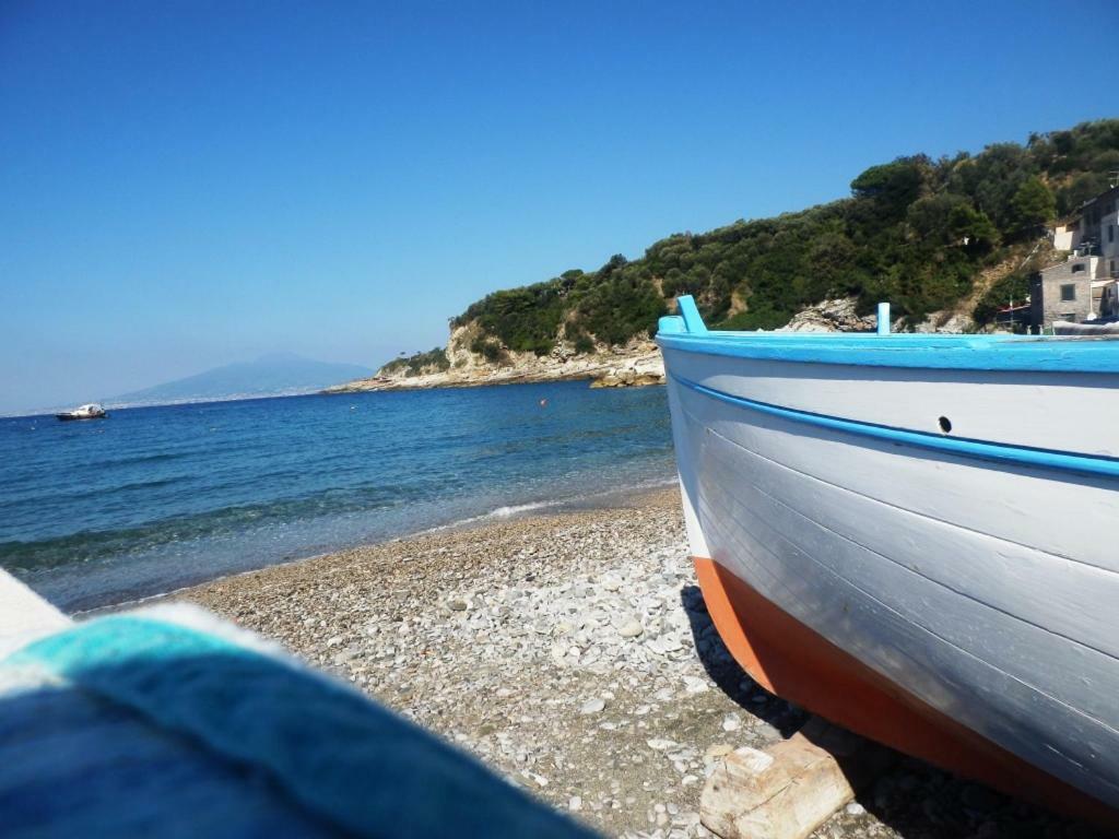 Alta Marea Sorrento